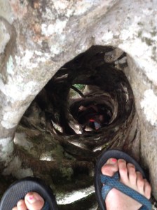 Inside the first tree we climbed. I had trouble squeezing my super swol shoulders through.